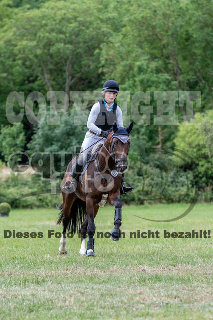Bonn-Rodderberg Late-Entry-Vielseitigkeit (30.06.2020)