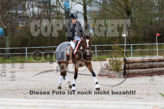 Eventing im Pferdesportzentrum Rheinland (Late Entry 14.03.2022)