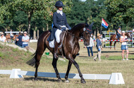 Kronenberg - De Peelbergen (August 2020)