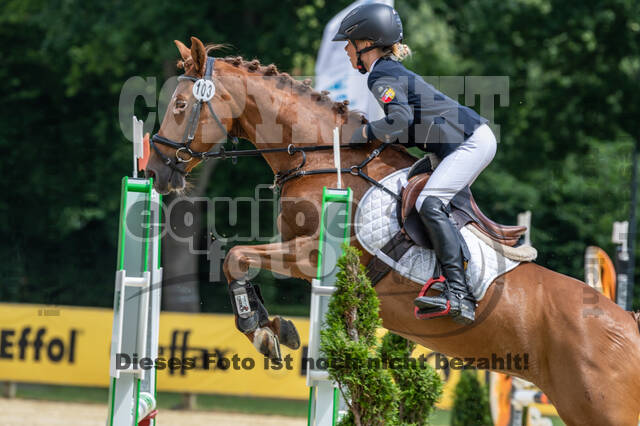 Goldene Schärpe 2021 - Ponys