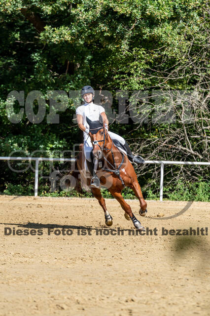 RFV Dinslaken-Hiesfeld (Herbstturnier)