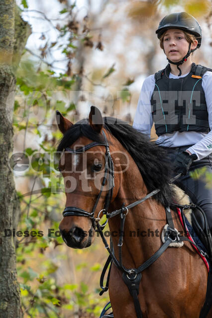IGV Lehrgang der Sieger der Cups mit Frank Ostholt