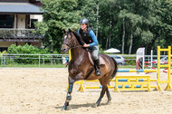 Hunter Geländetraining 10.07.2021 (Sonsbeck)