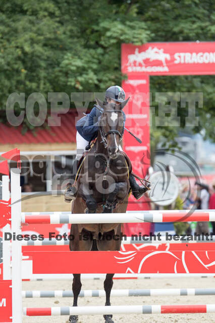 FEI European Championship