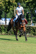 Kronenberg - De Peelbergen (August 2020)
