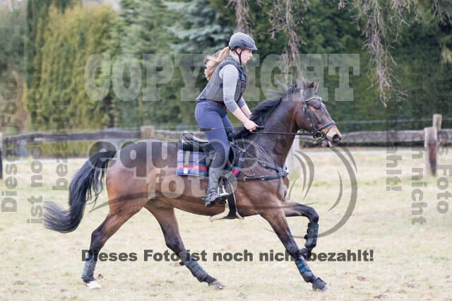 Geländetrainings RSV St. Hubertus Wesel Obrighoven