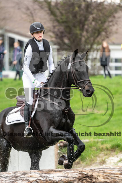 Goldene Schärpe 2020 - Pferde