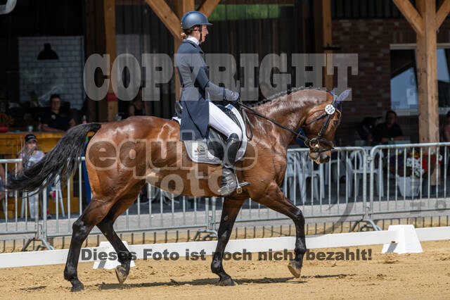 Westerstede Horse Trials 2021