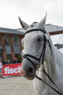 FEI European Championship Eventing 2019