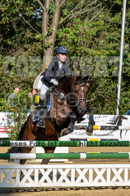 RFV Dinslaken-Hiesfeld (Herbstturnier)