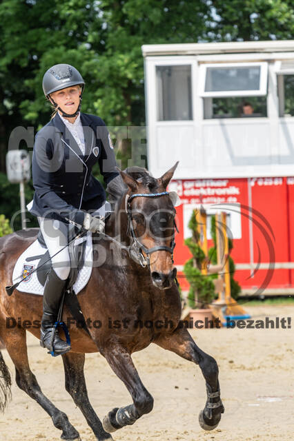 Goldene Schärpe 2021 - Ponys