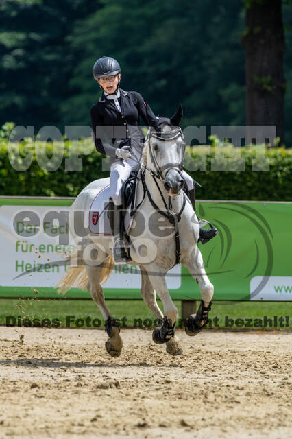Goldene Schärpe 2021 - Ponys