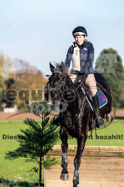 Vielseitigkeitslehrgang mit Jürg Kurbel (9.+10.11.2019)