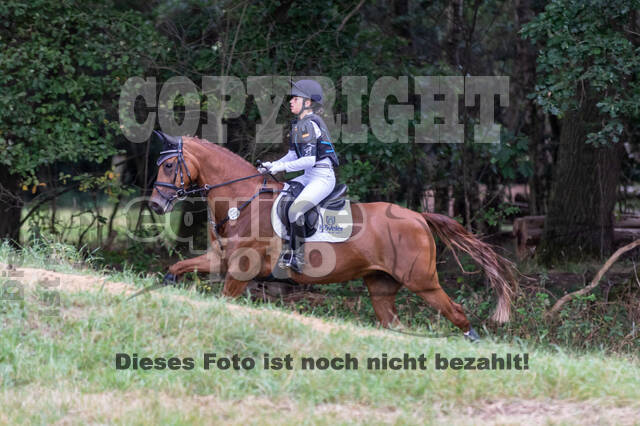 Late-Entry Vielseitigkeit Hamminkeln/Wesel (01.+02.08.2020)