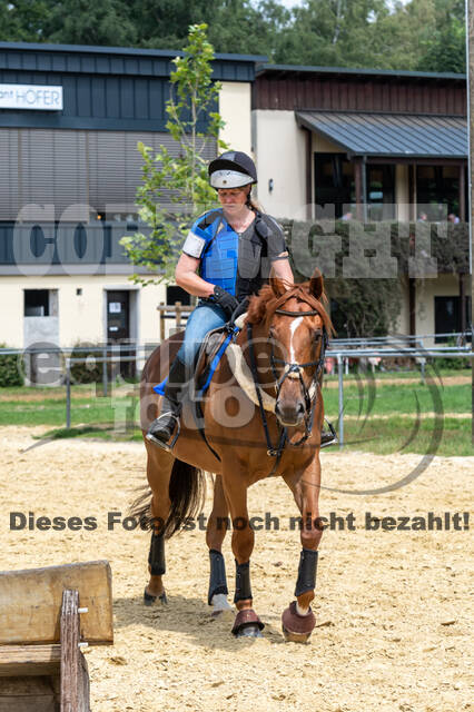 Hunter Geländetraining 10.07.2021 (Sonsbeck)