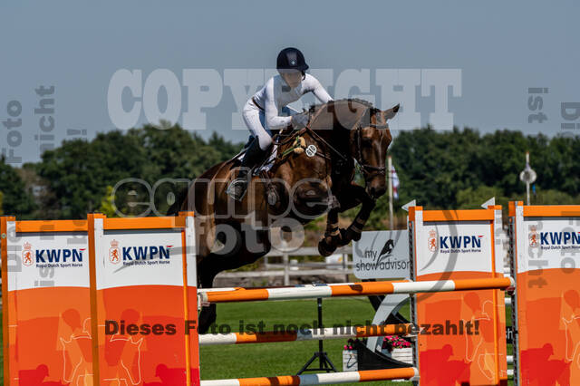 Kronenberg - De Peelbergen (August 2020)