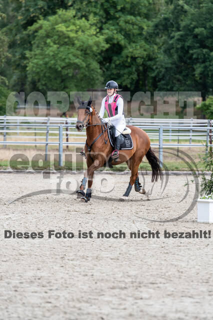 Late-Entry-Vielseitigkeit Langenfeld (11.+13./14.06.2020)