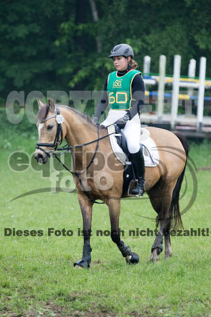 Vielseitigkeitsturnier ZRFV von Lützow Hamminkeln