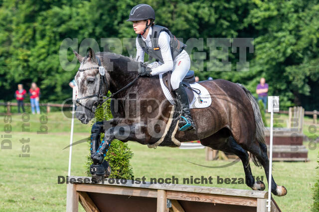 Goldene Schärpe 2021 - Ponys