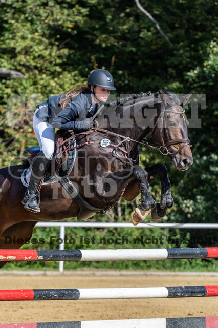 RFV Dinslaken-Hiesfeld (Herbstturnier)
