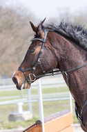 Eventing Langenfeld