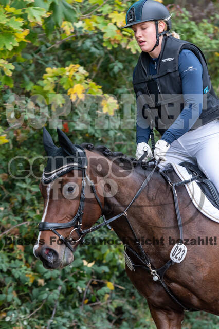 Goldene Schärpe 2020 - Pferde