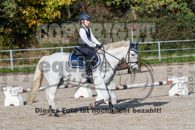 IGV Lehrgang der Sieger der Cups mit Frank Ostholt