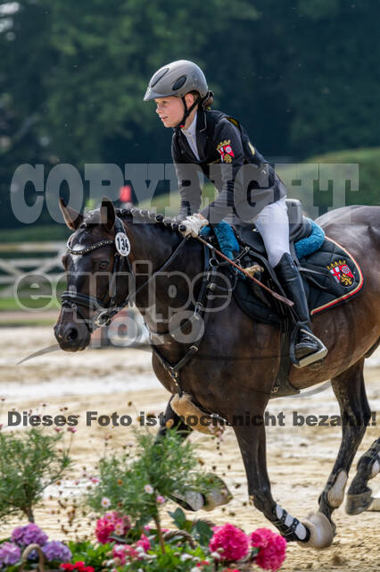 Goldene Schärpe 2021 - Ponys