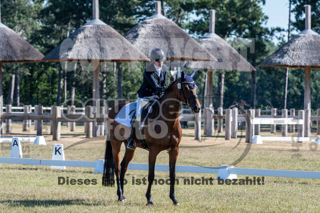 Kronenberg - De Peelbergen (August 2020)