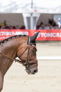European Championship Eventing 2017