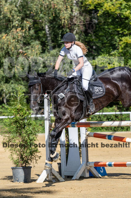 RFV Dinslaken-Hiesfeld (Herbstturnier)