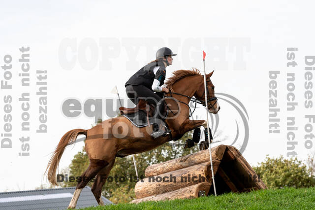 IGV Lehrgang der Sieger der Cups mit Frank Ostholt