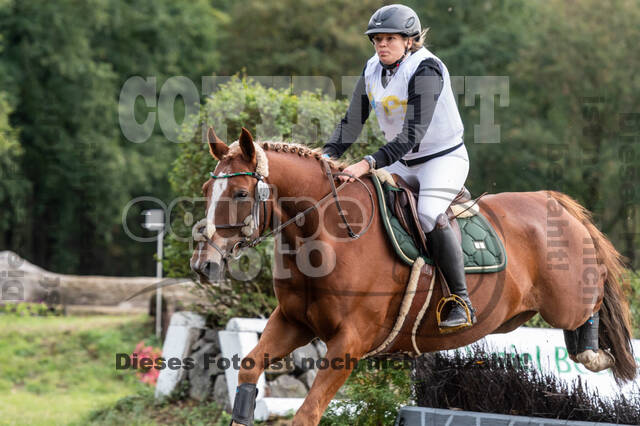 Vielseitigkeit RSV Wesel Obrighoven (26.+27.09.2020)