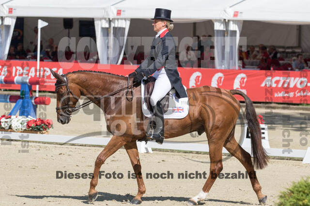 FEI European Championship Eventing 2017