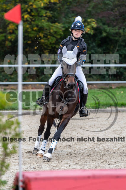 Goldene Schärpe 2020 - Pferde