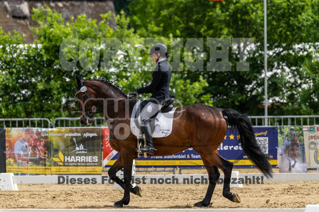 Westerstede Horse Trials 2021