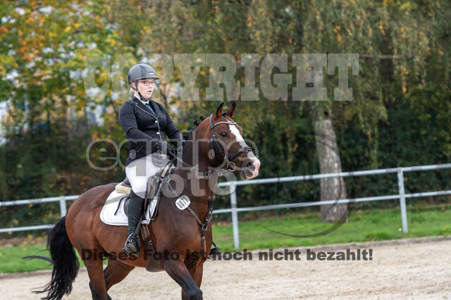 Goldene Schärpe 2020 - Pferde