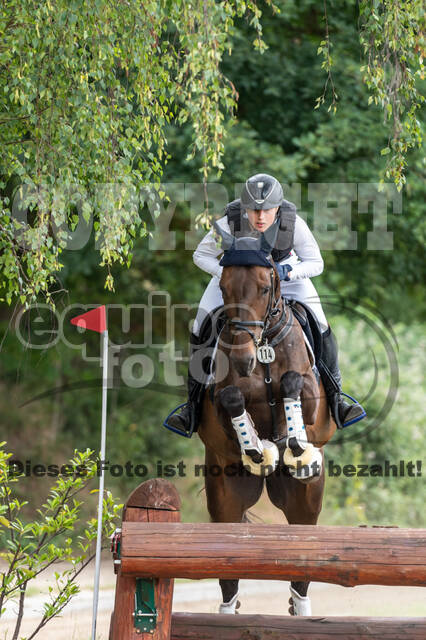 Late-Entry-Vielseitigkeit Langenfeld (11.+13./14.06.2020)