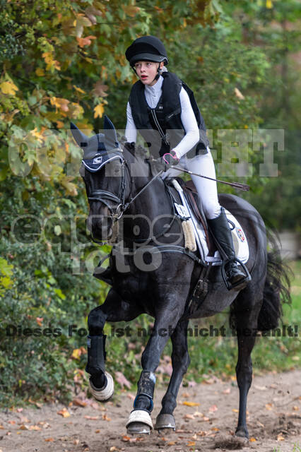 Goldene Schärpe 2020 - Pferde