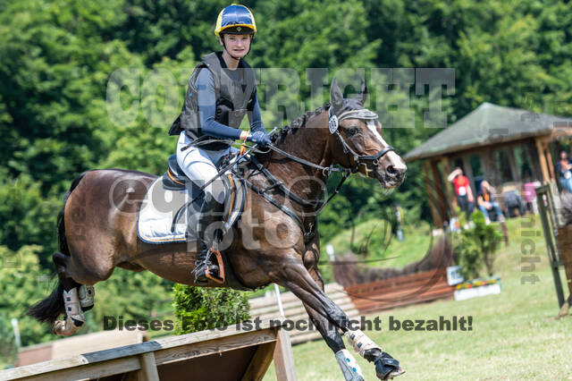 Goldene Schärpe 2021 - Ponys