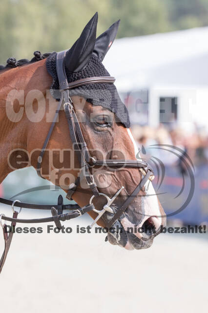 FEI European Championship Eventing 2019