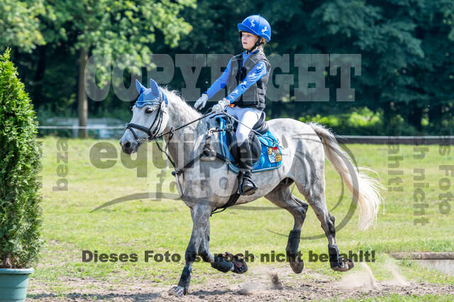 Goldene Schärpe 2021 - Ponys