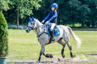 Goldene Schärpe 2021 - Ponys