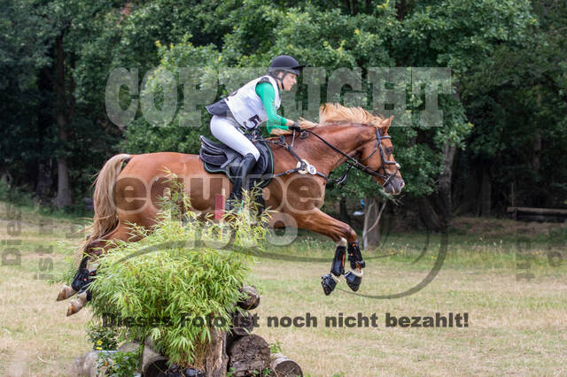 Late-Entry Vielseitigkeit Hamminkeln/Wesel (01.+02.08.2020)