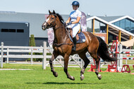 Kronenberg - De Peelbergen (August 2020)