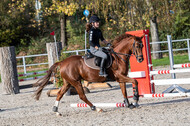 IGV Lehrgang der Sieger der Cups mit Frank Ostholt