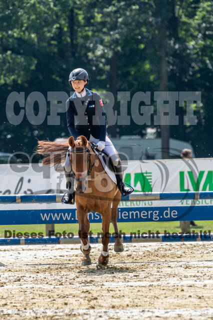 Goldene Schärpe 2021 - Ponys