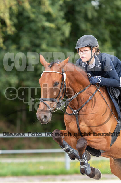 Late-Entry-Vielseitigkeit Langenfeld (06.+07.07.2020)