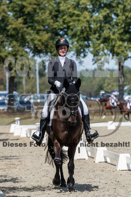 Kronenberg - De Peelbergen (August 2020)