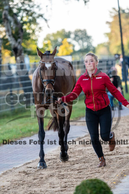 Deutsche Meisterschaft Vielseitigkeit (Luhmühlen)